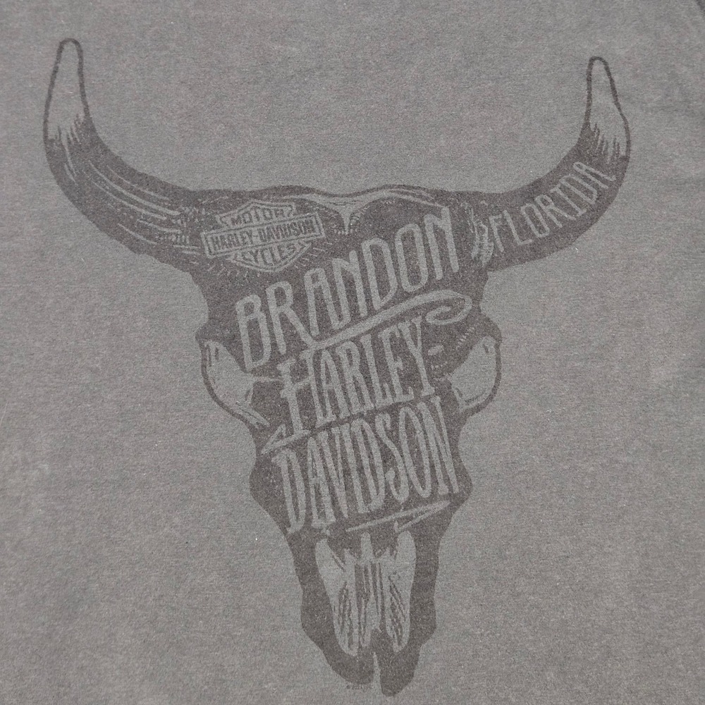 Harley‎ Davidson T-Shirt Mens XL Black Brandon Florida Bull Skull Graphic Biker